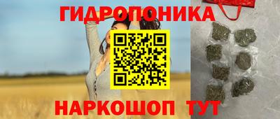 стаф Лесосибирск
