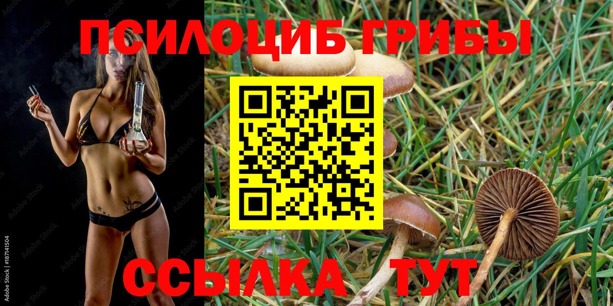 Елабуга  Псилоцибиновые грибы Psilocybine cubensis  Вход с VPN 