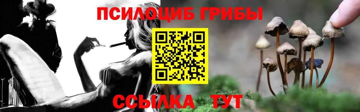 Галлюциногенные грибы мухоморы Елабуга